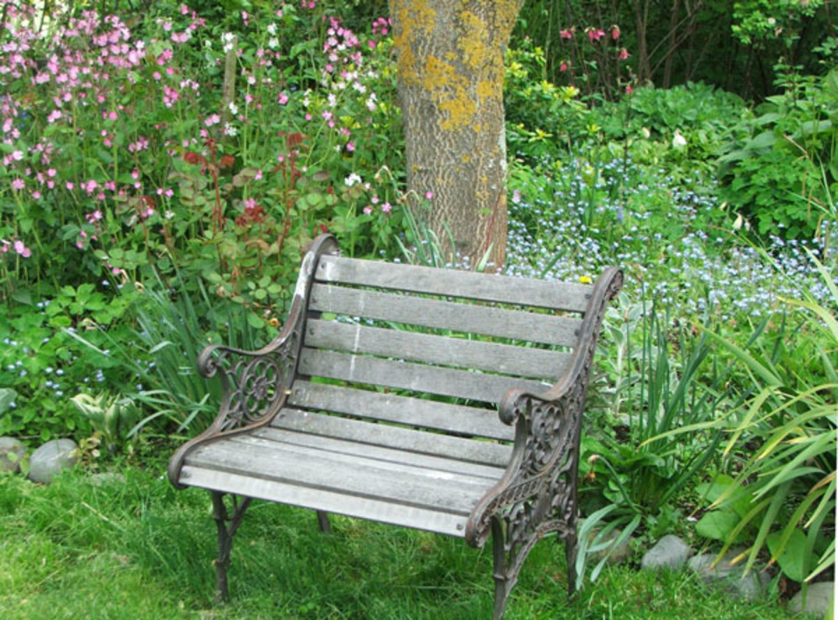 Once your garden is established, place a comfortable garden seat in a cosy corner with a tranquil view of your garden and sit and ponder your creation.