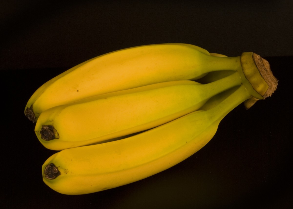 Ripe yellow bananas.