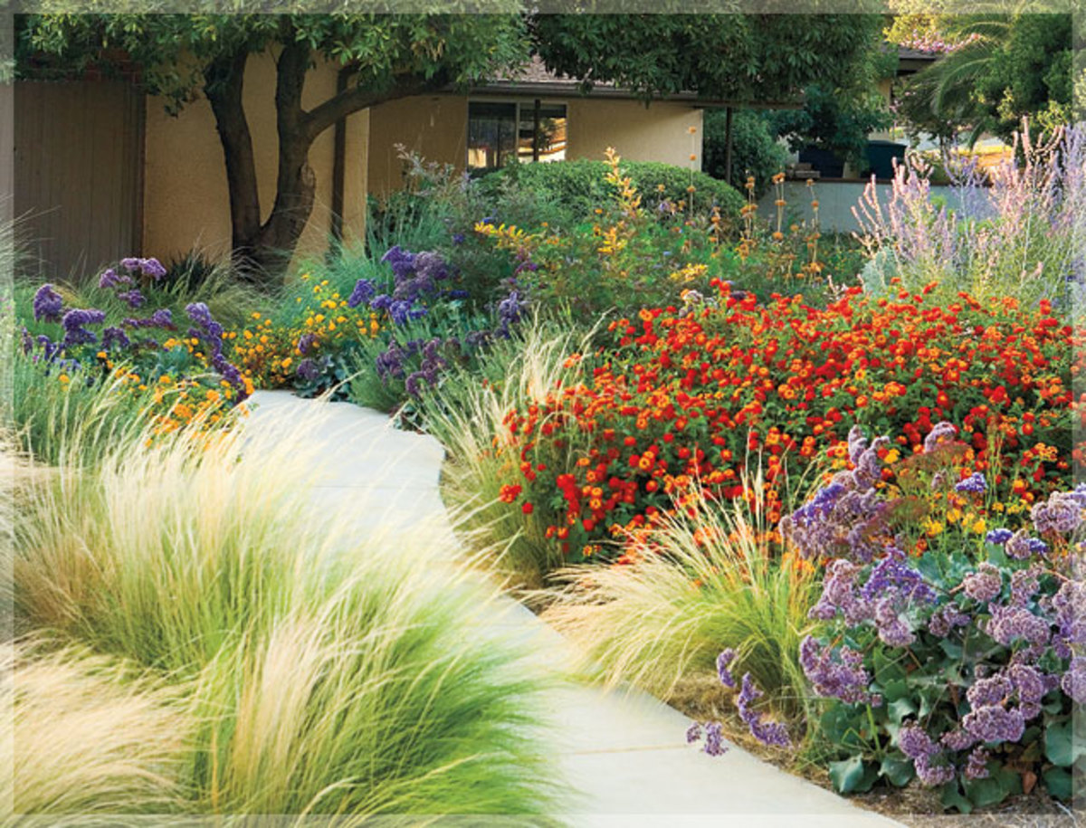 This garden uses feathery ornamental grass, lantana, Russian sage, and statice. 