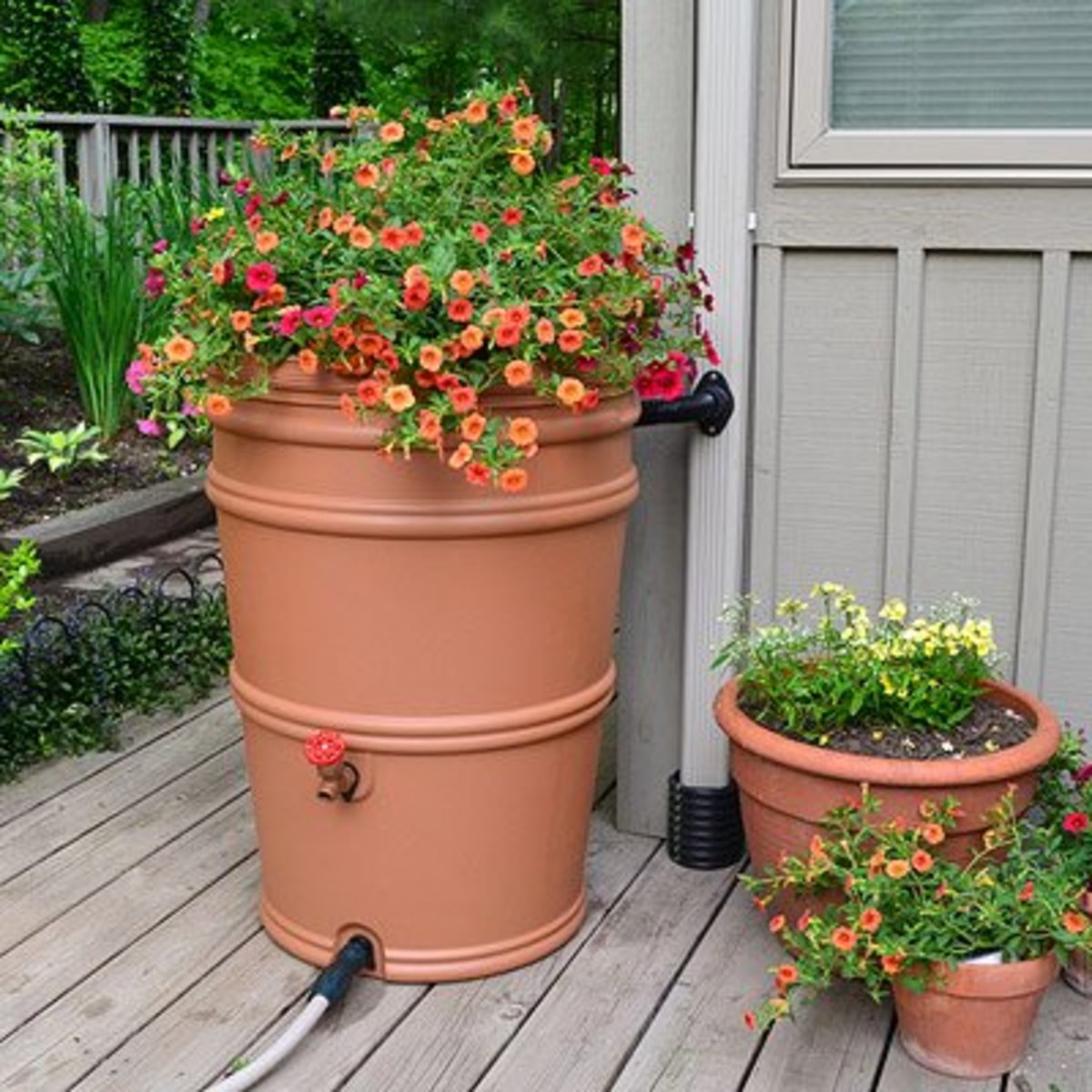 Run-off water can be harvested in attractive rain barrels.