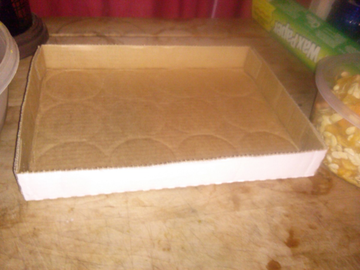 Place a tray, or ideally small shallow cardboard box (as pictured) next to the bowl of pulp on a work surface or counter.