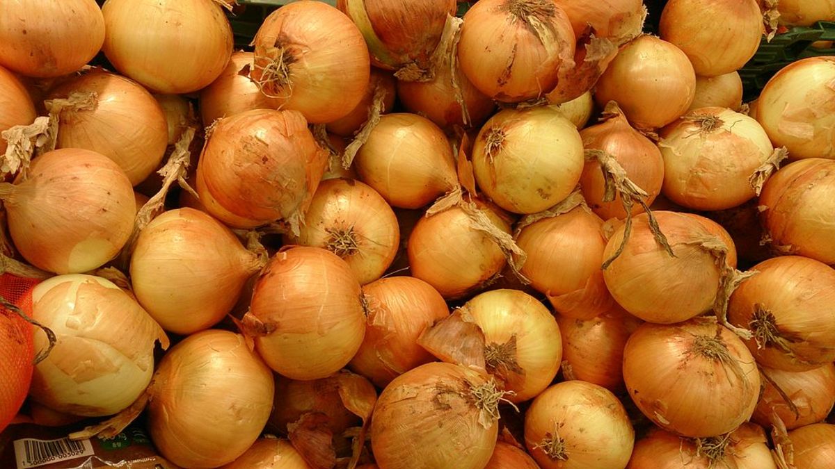 a-guide-to-growing-onions