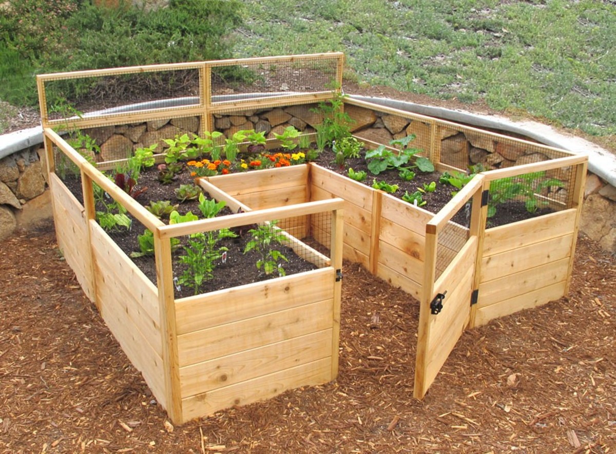 different-types-of-gardening-for-homesteaders