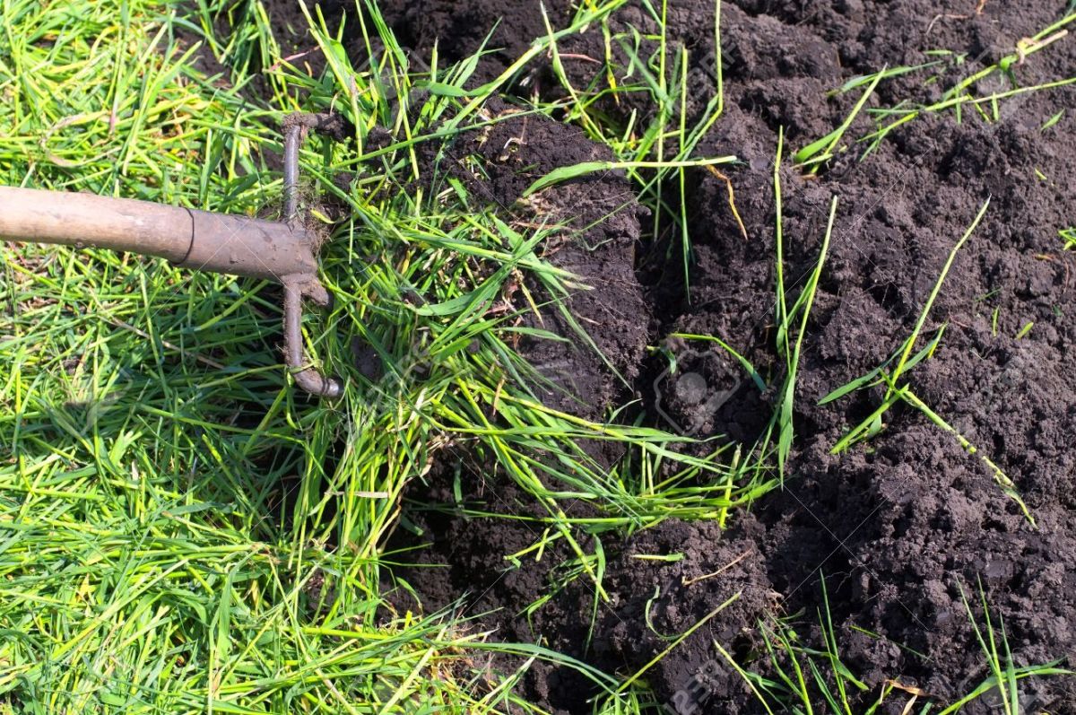 What Are The Different Types Of Compost And Which Should I Use In My Garden Dengarden Home And Garden