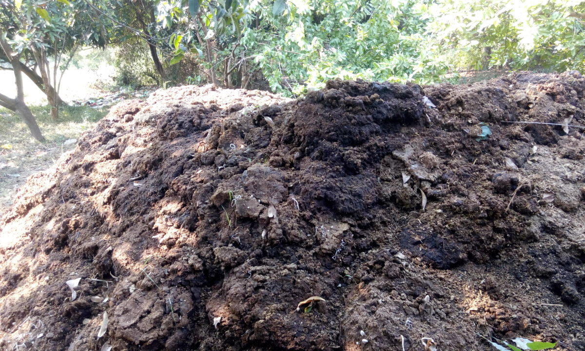 what are the different types of compost and which should i