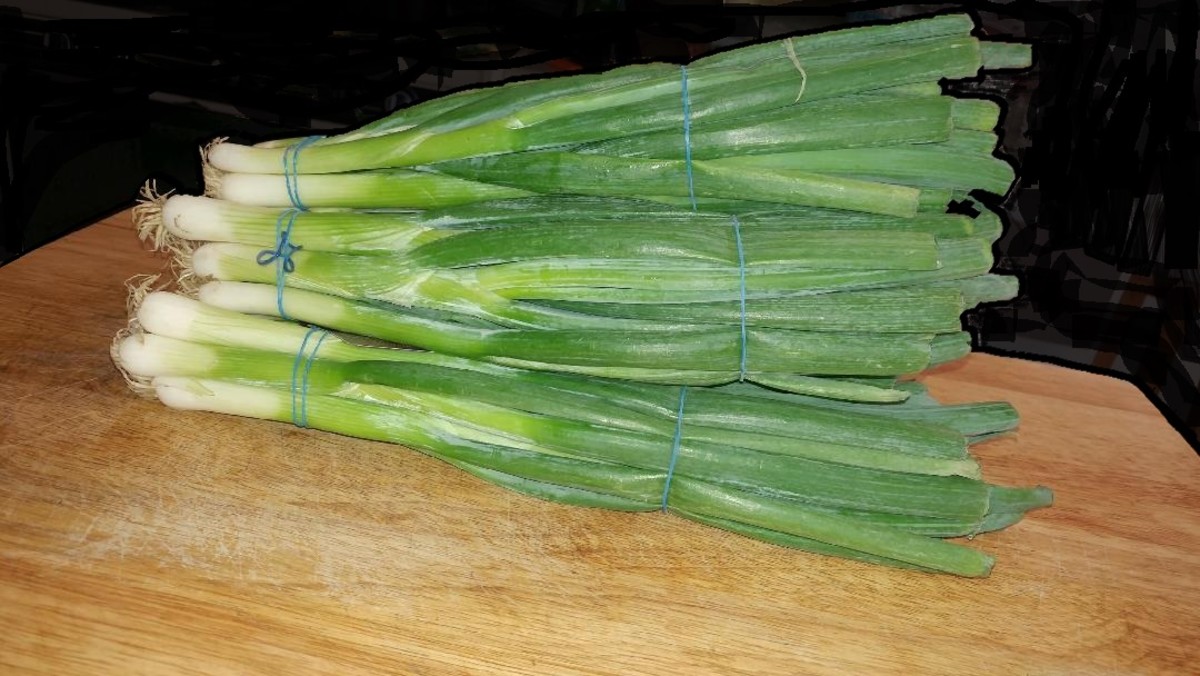 Growing green onions can be a fun family project, or just a way to grow a tasty vegetable.