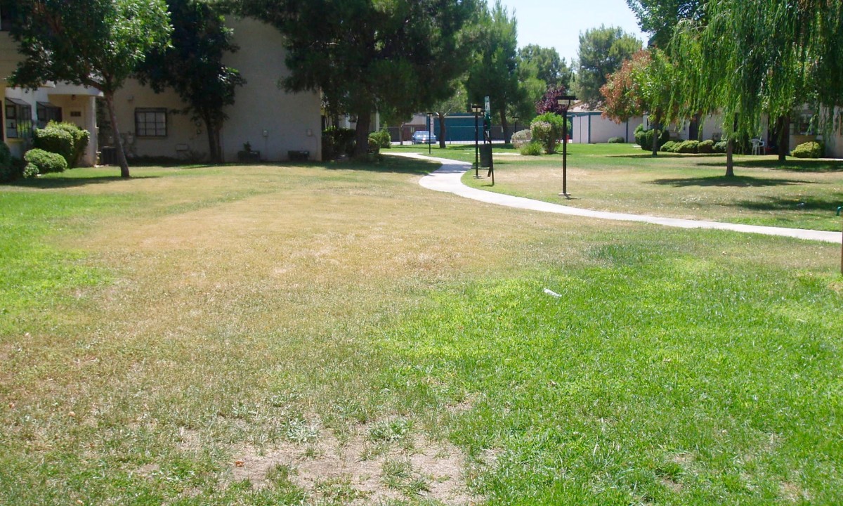 Lawn Care Maintenance: Seven Tasks for Fall - Dengarden