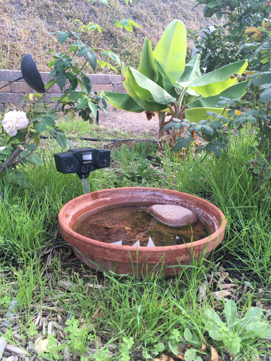 Ultrasound pest deterrent flashes light when crows land in the water dish.