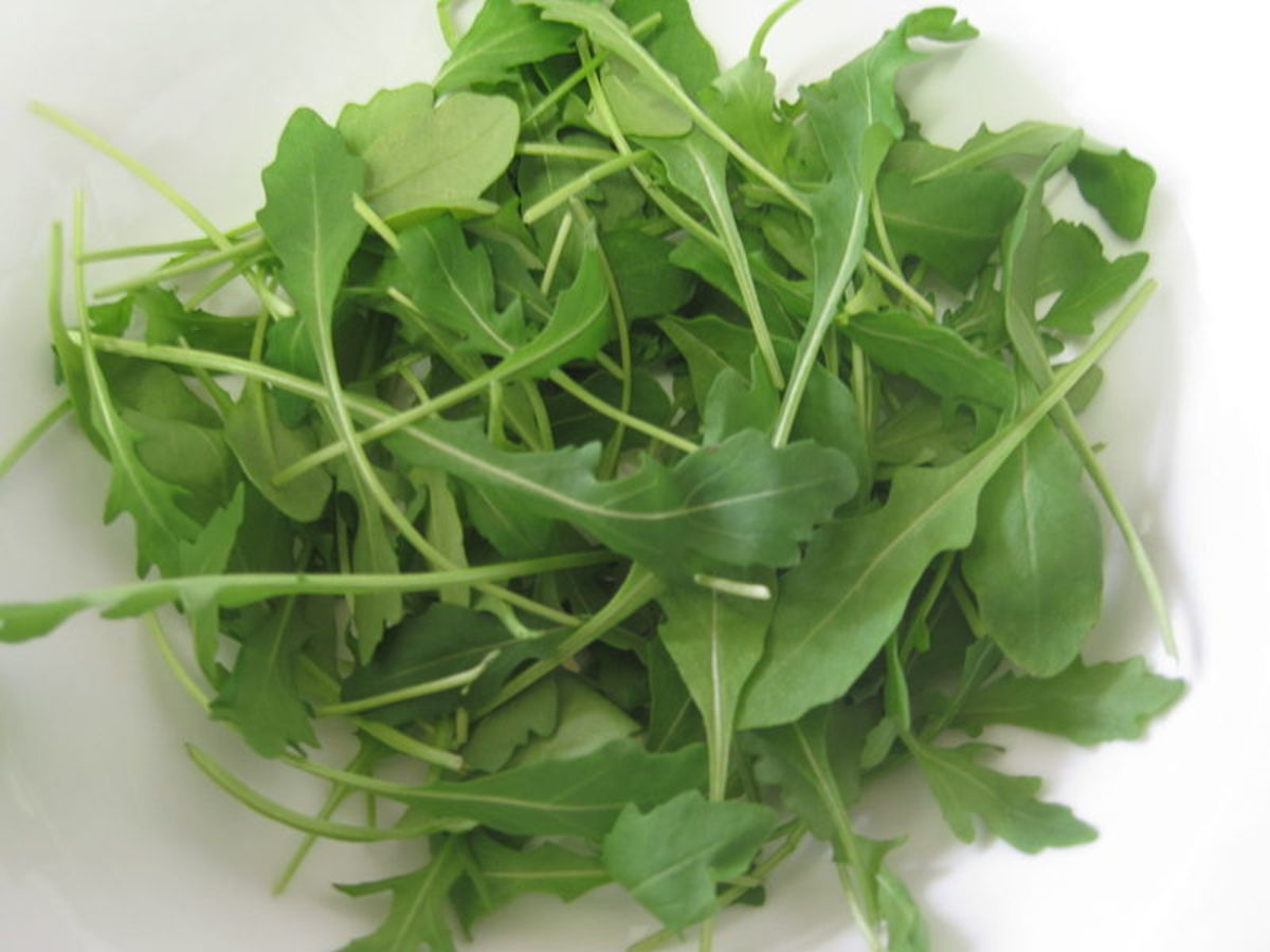 a-guide-to-growing-arugula
