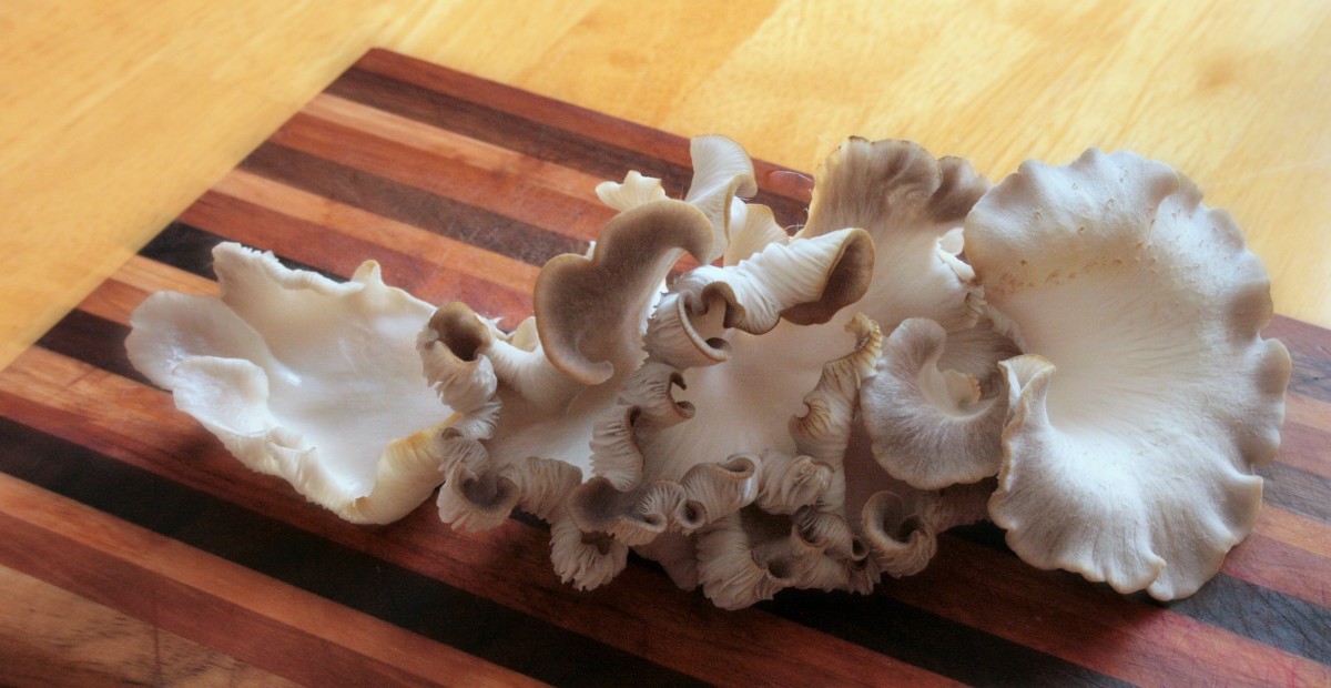 the-joy-of-tabletop-winter-mushrooms