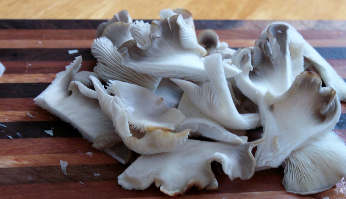 the-joy-of-tabletop-winter-mushrooms