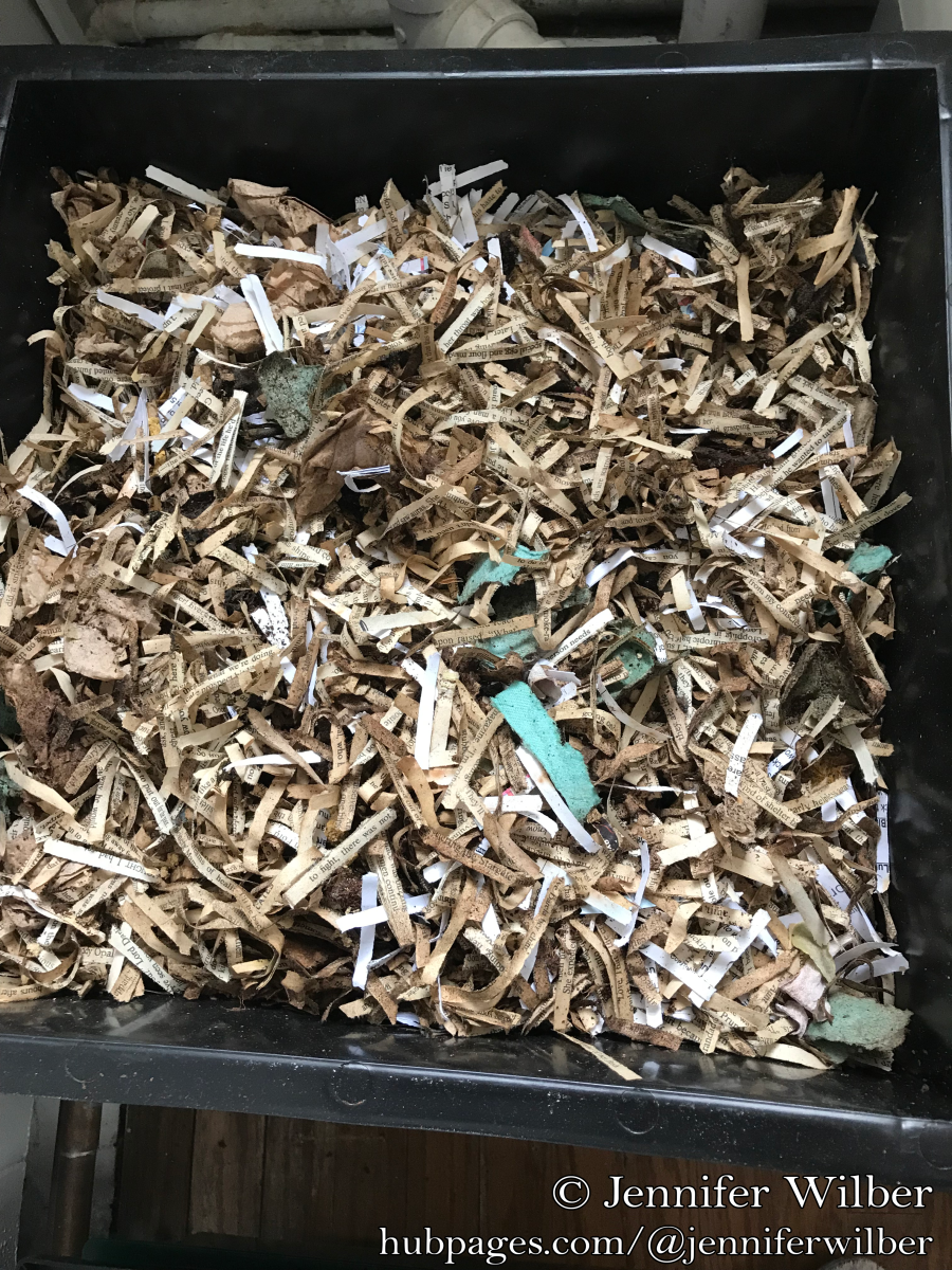 Make sure to cover up the newly added materials with bedding materials before putting the lid back on. Right now my worm bedding consists mostly of shredded paperback books (which were too badly damaged to donate or sell).