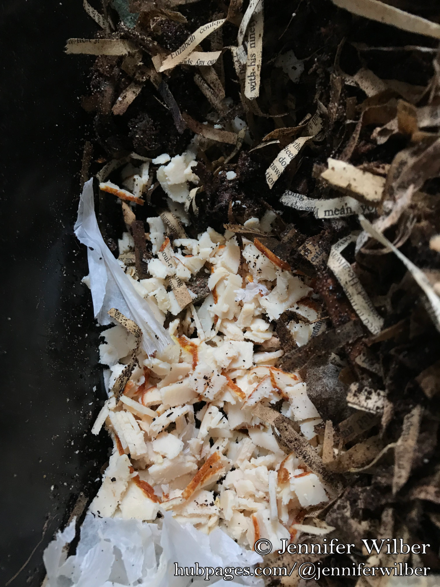 You Can Compost Meat in a Worm Bin Dengarden