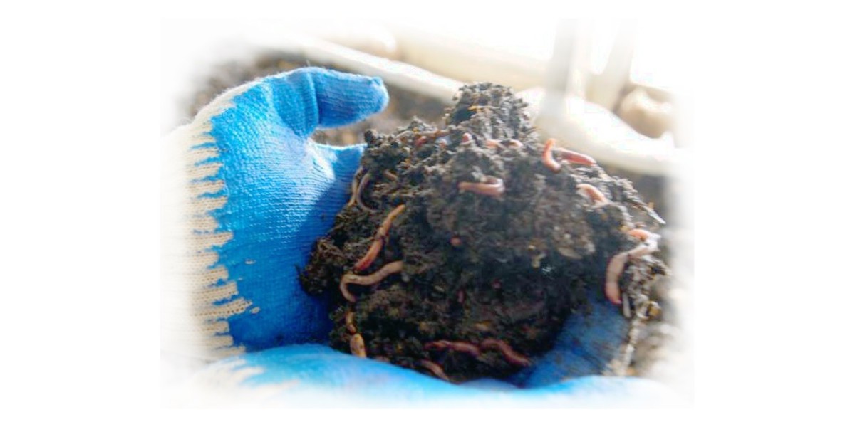 Worms are sold by the pound.  How many you need depends on how much waste you produce on a weekly basis.