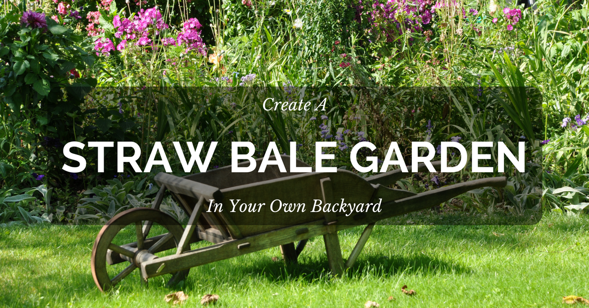 How to Create a Straw Bale Garden in Your Backyard