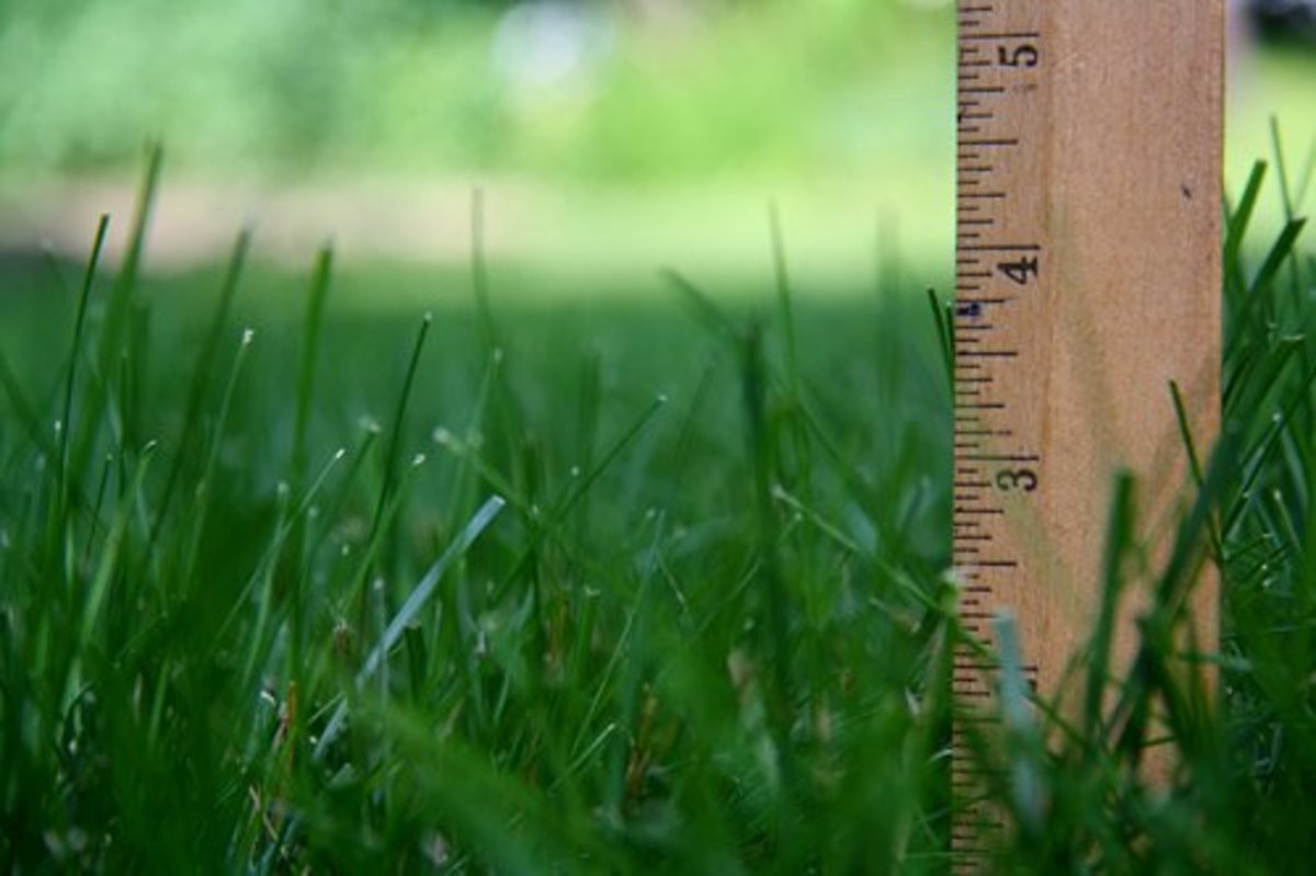 Learn how to effectively care for Ohio grass and soil.