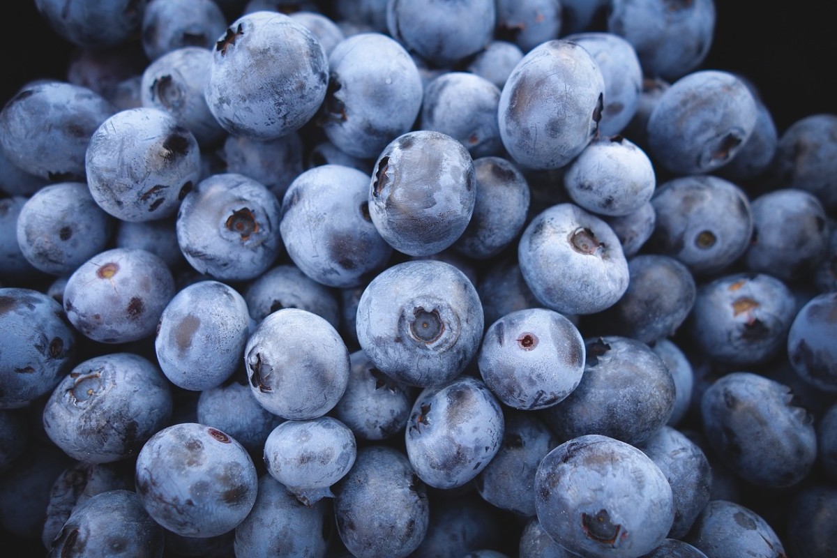 Enjoy your fresh, homegrown berries!