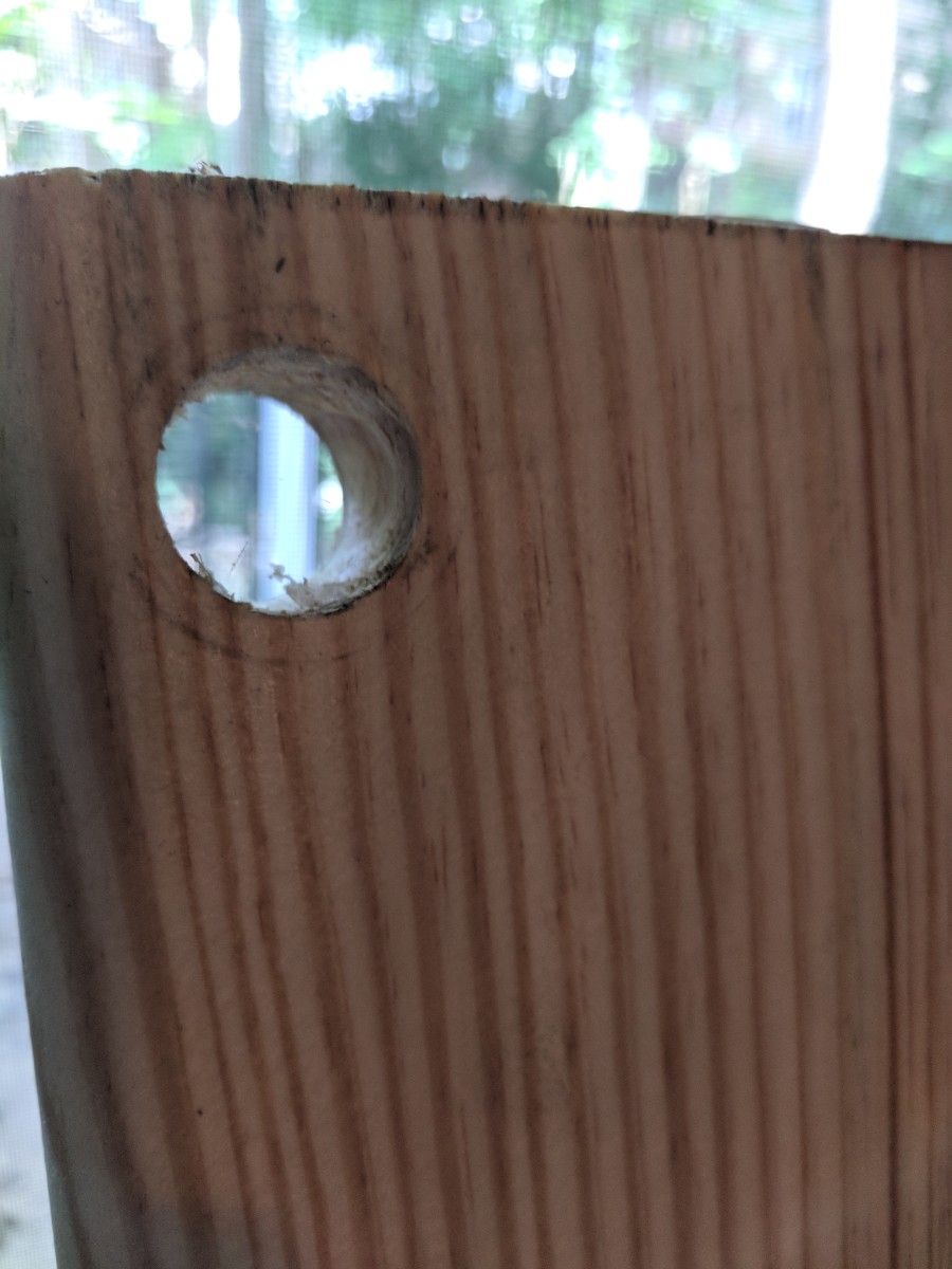 The holes you cut will look a little something like this one we drilled in our test wood.