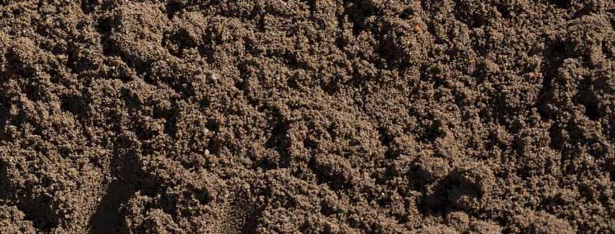 Loamy soil should look something like this photograph. It is a combination of the three types of soil: sand, silt and clay. The perfect soil for a healthy, beautiful garden.