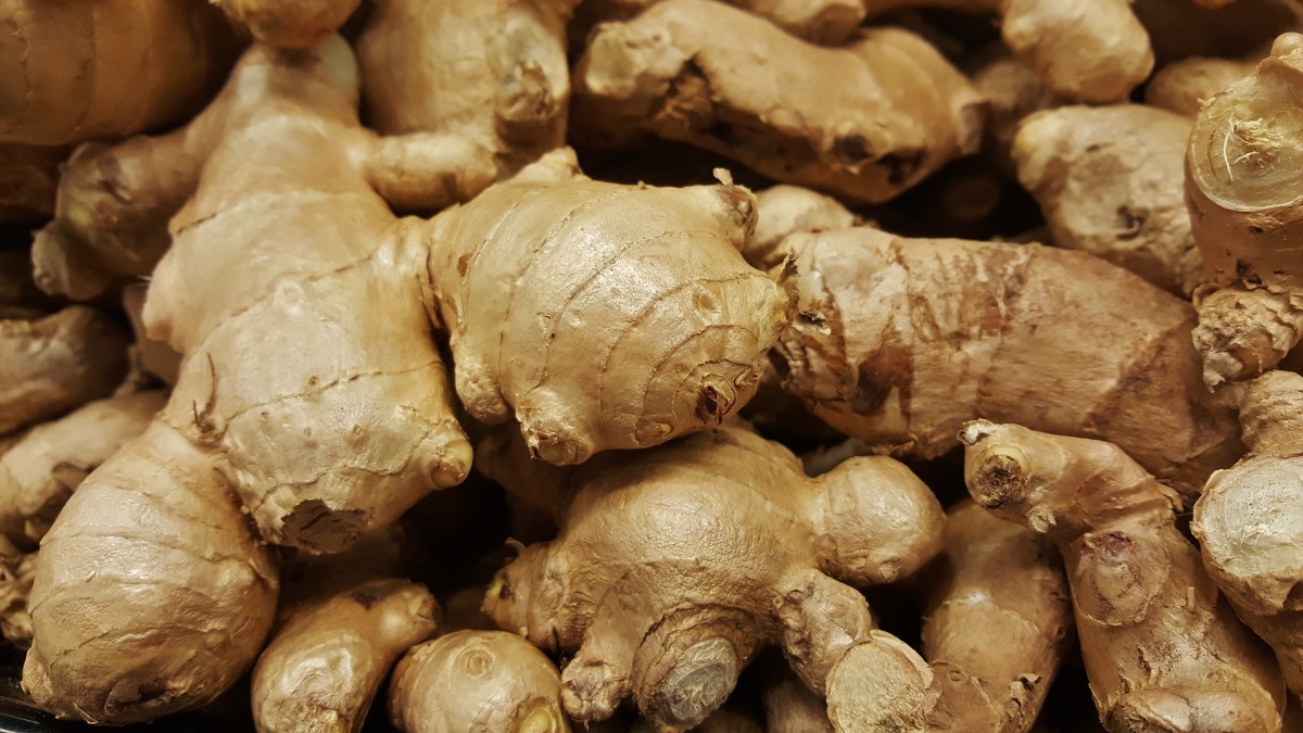 Ginger is an example of a rhizome.