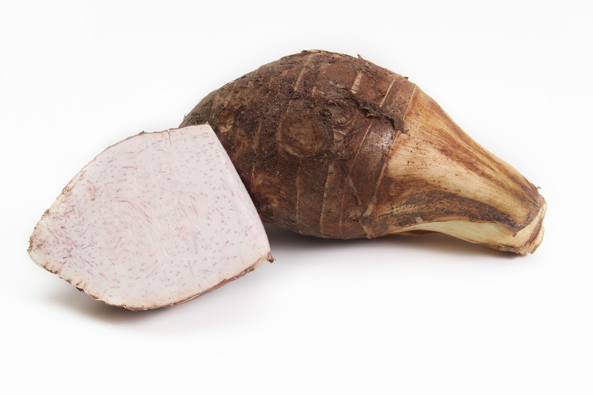 Taro is an example of a tuber.