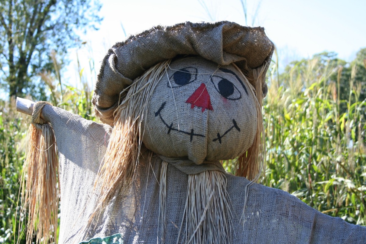 Instructions for Making a Scarecrow HubPages Instructions for Making a Scarecrow HubPages