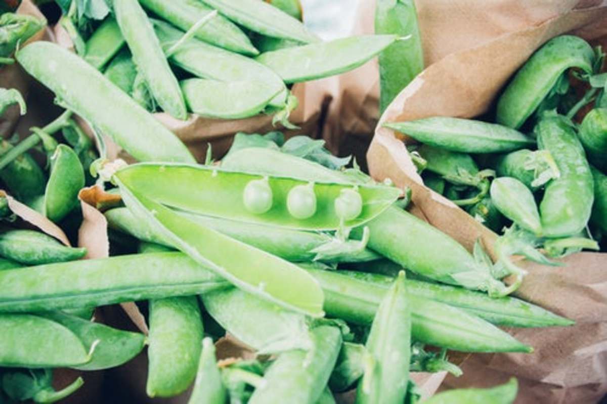 Peas won't fair well in warmer weather but can be exposed to full sun during cooler months. 