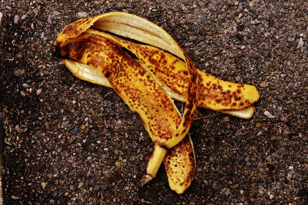 Banana peel fertilizer is a good source of potassium. 