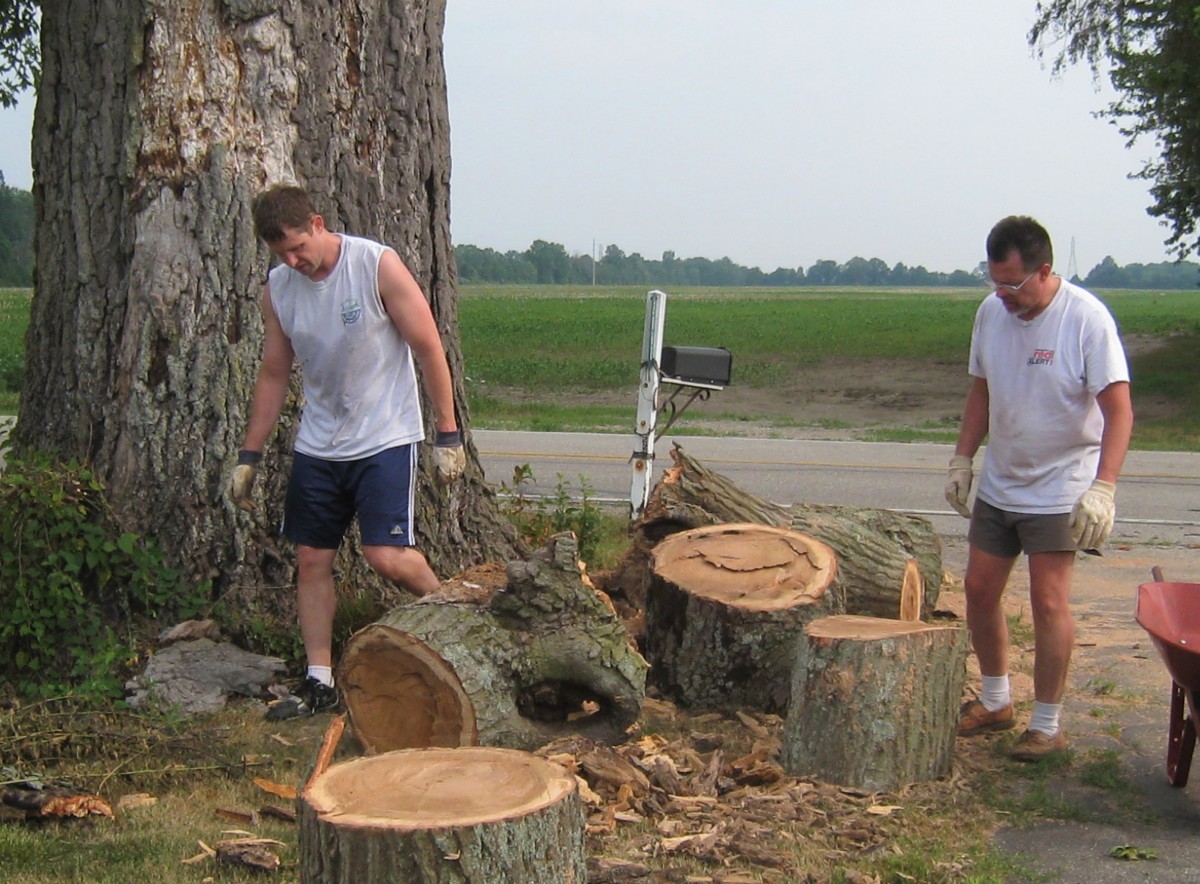My husband (right) and his brother -- cleaning up one of the tree-sized limbs that fell from our 150-year-old (plus) oak tree.