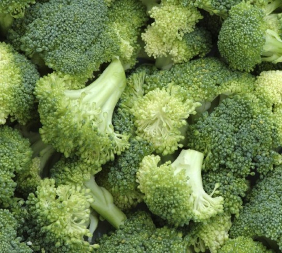 growing-broccoli-in-ohio