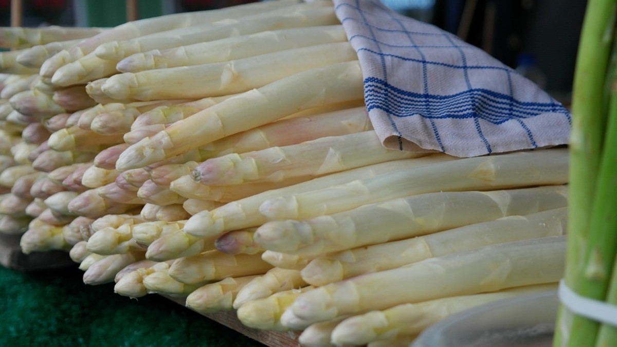 White asparagus is just asparagus that has been blanched while growing.