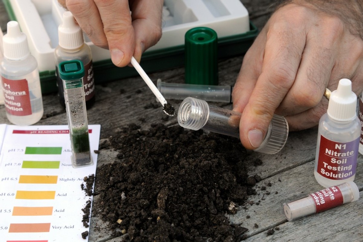 Purchase a testing kit or take samples to the state extension service.