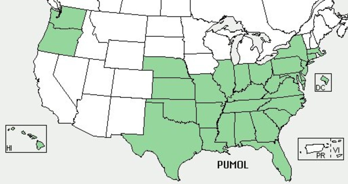 United States Kudzu Coverage Map