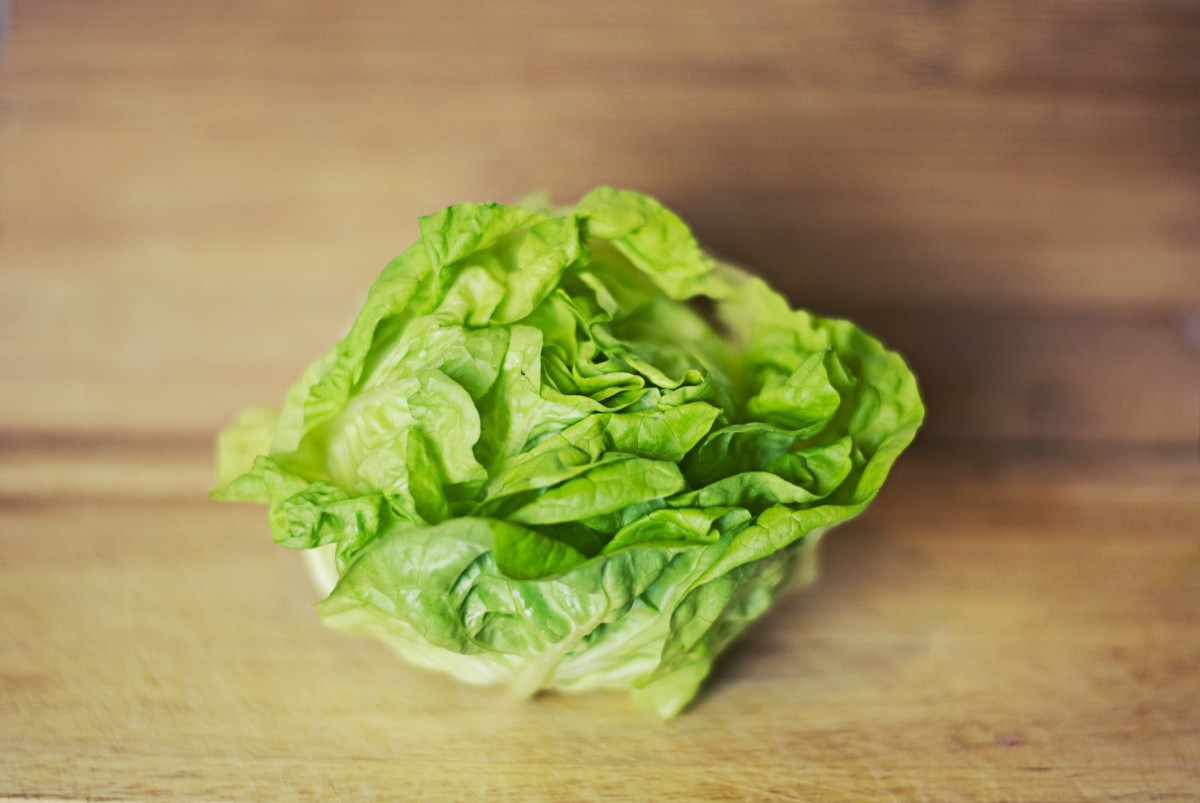 The Quickest Growing Vegetables and How You Can Start Them Today HubPages