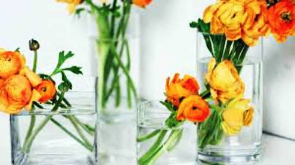 Clean the vase with baking soda paste to remove the scum.