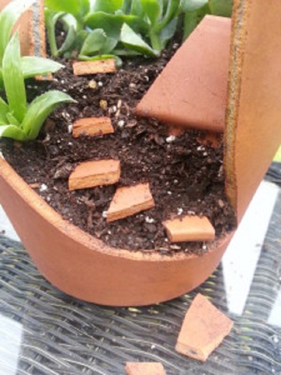 Broken pieces of the pot can be magically transformed into fairy steps!
