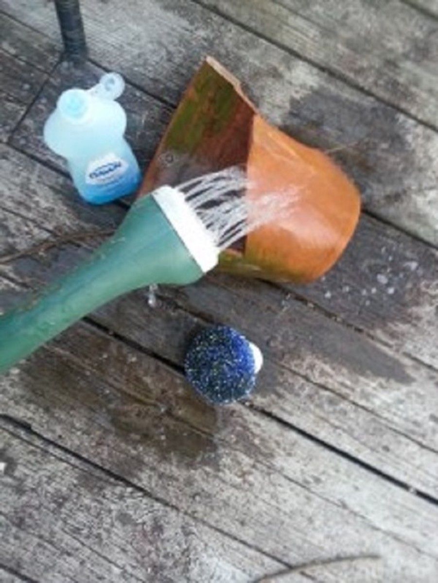 Give the pot a good scrub to remove all the old soil.