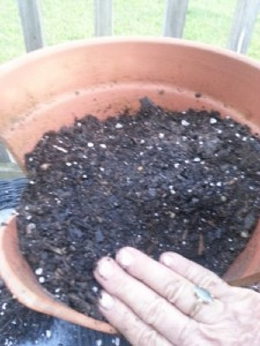 Refill the main piece of the broken pot with nice, fresh soil.
