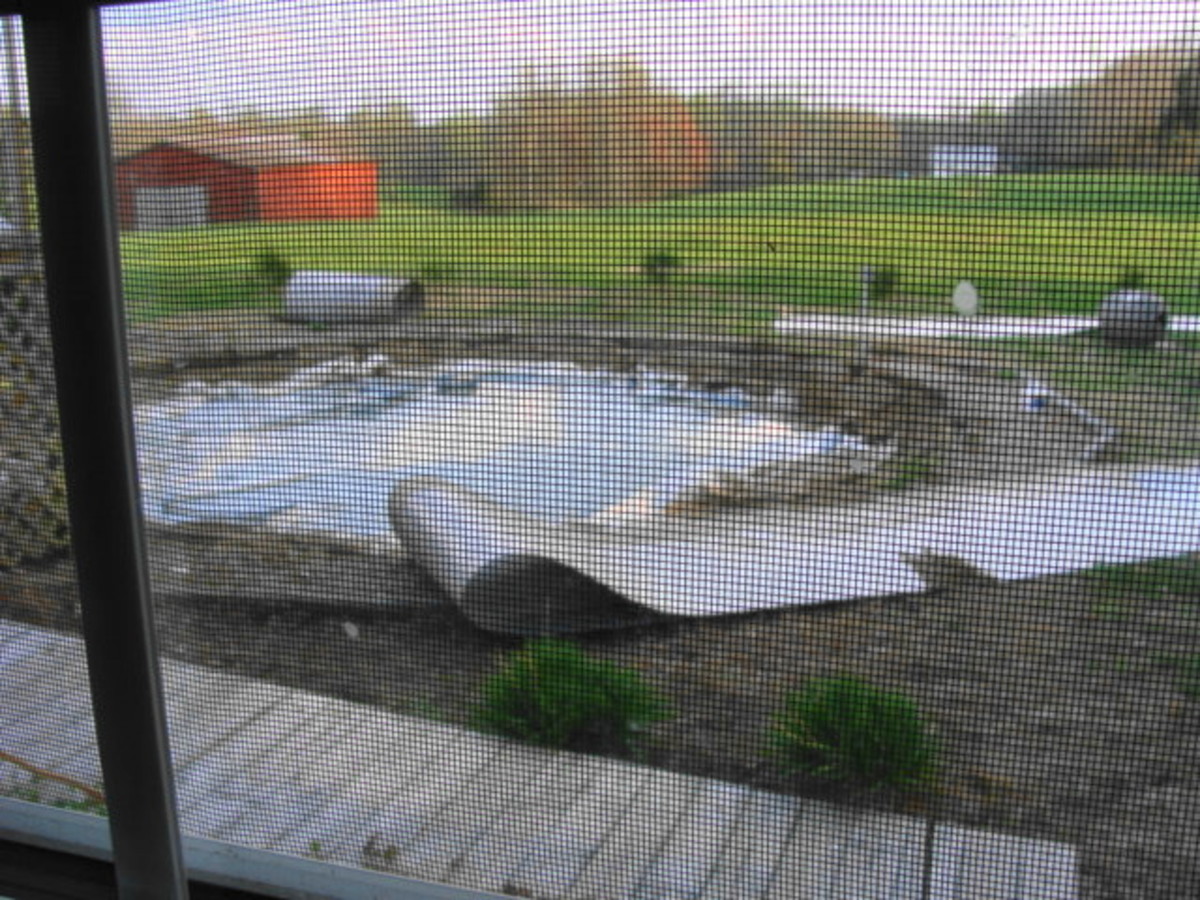 My backyard pool, flat on the ground.