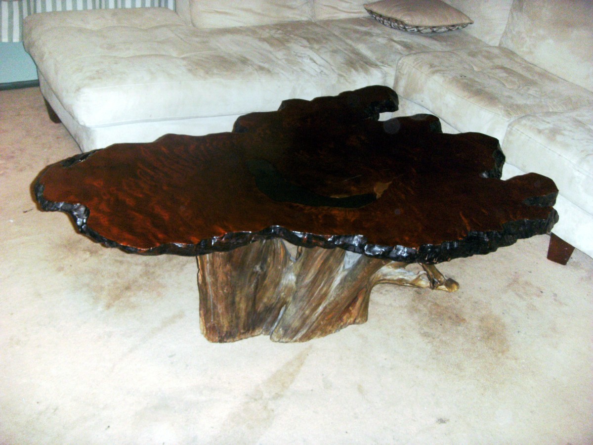 Burl wood coffee table