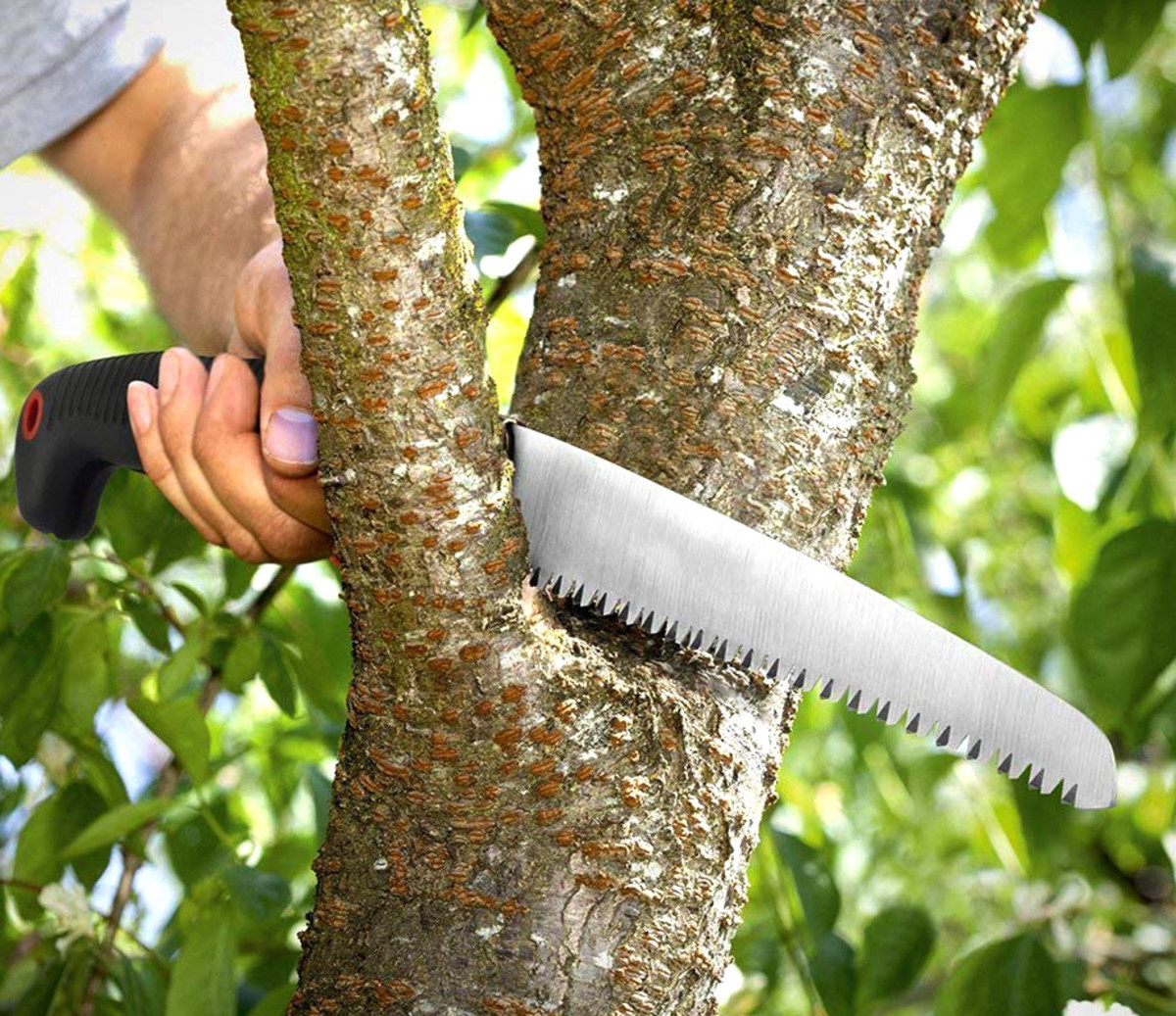 how to use saw to cut tree branches
