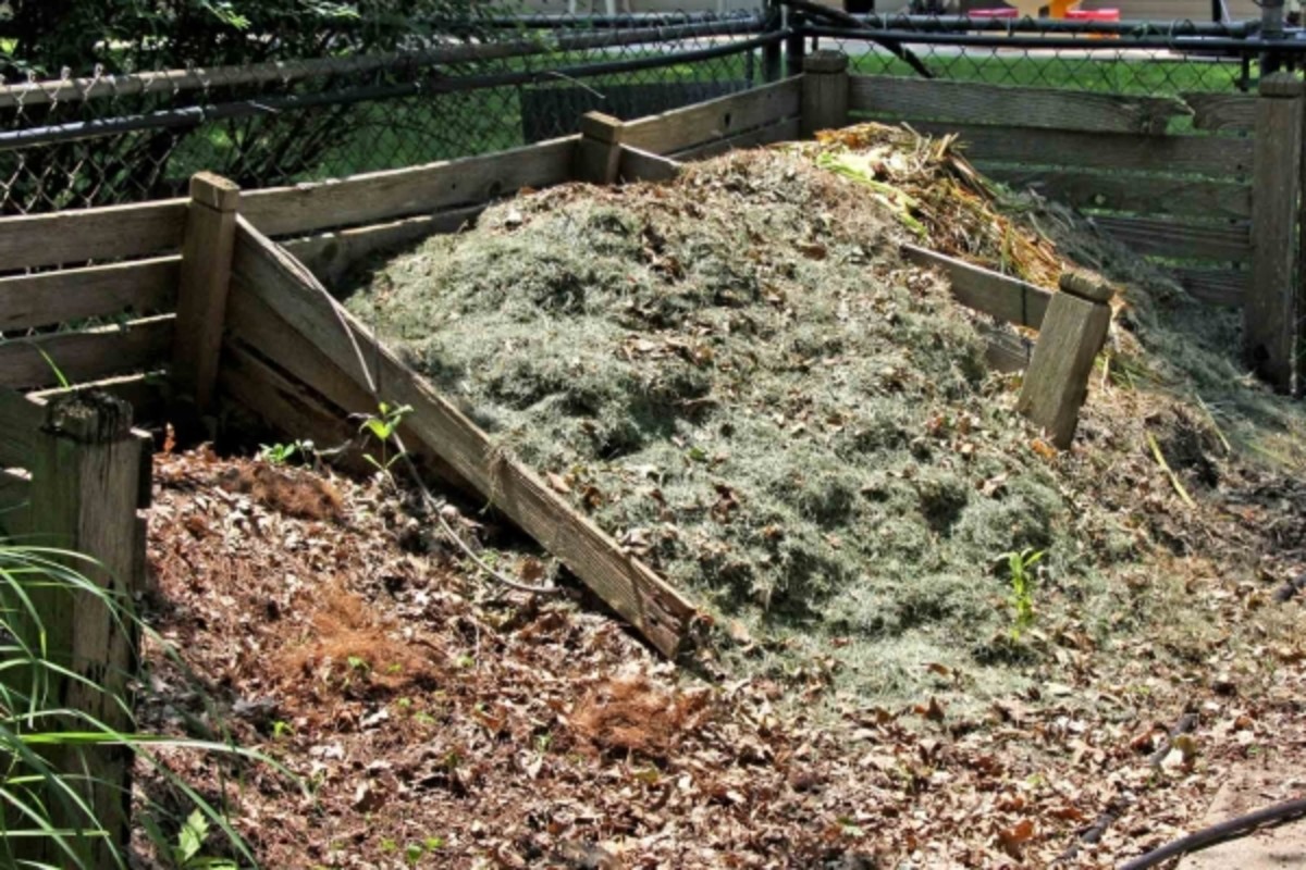 Piles of fresh compost.