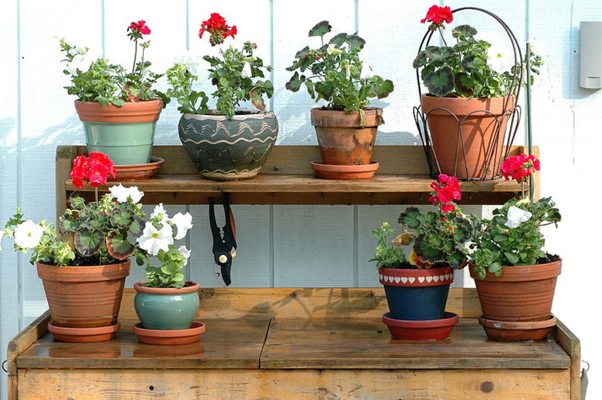 Potting benches allow you to stand upright, keeping back and knees in comfortable positions.