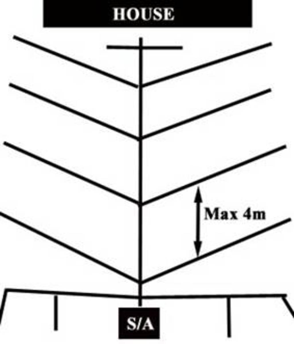 Herringbone drainage system. The main drainage pipe (middle) drains downward, away from the house, toward the soakaway (SA).