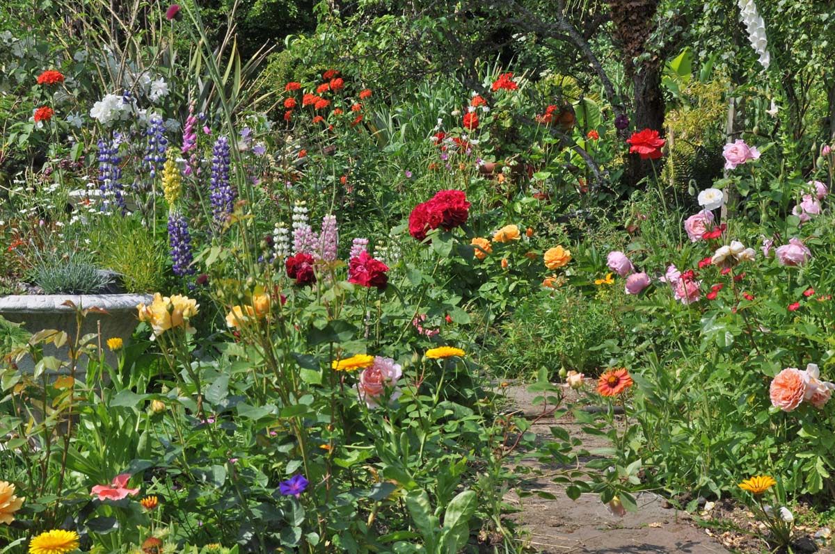 Flowering garden built on clay soil.