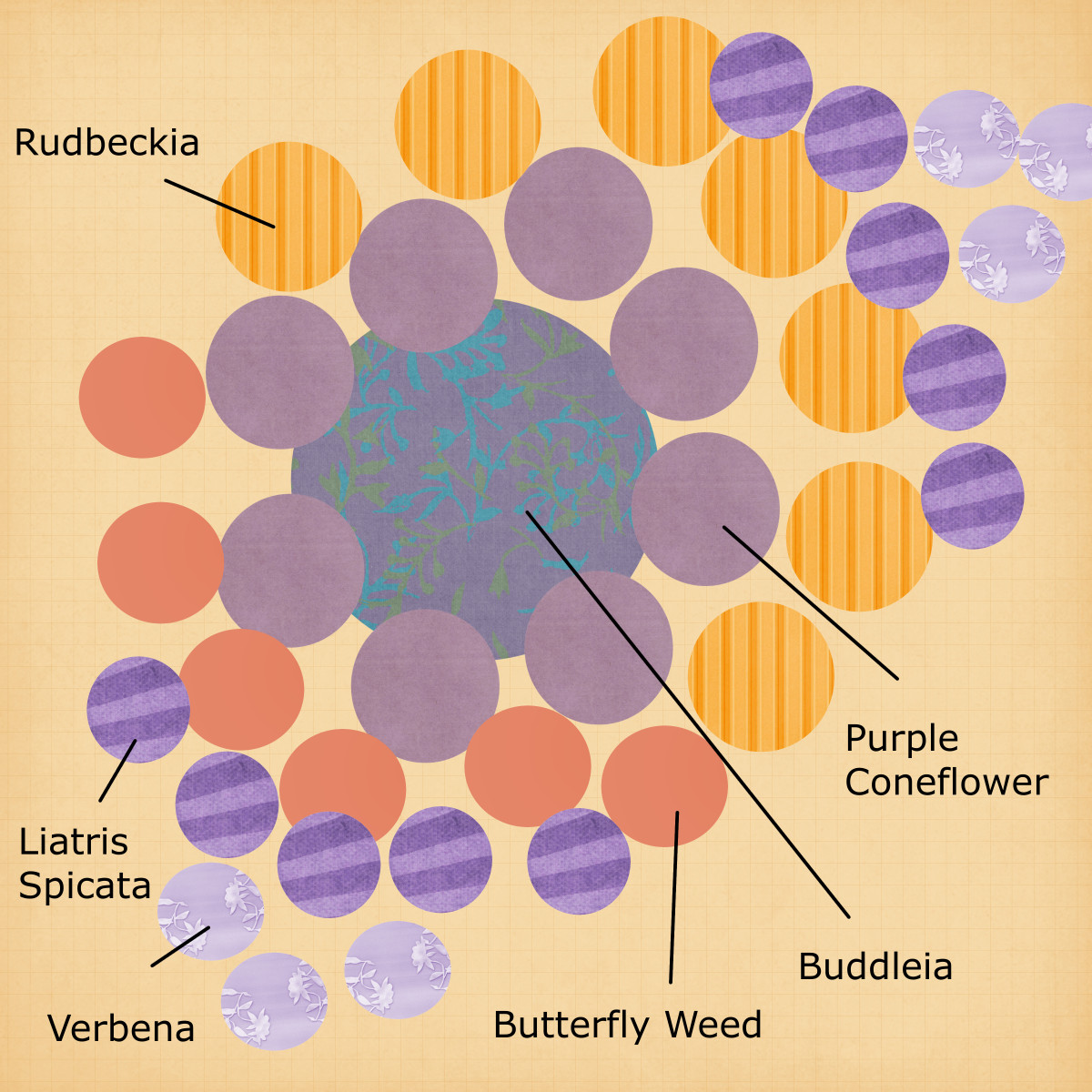 This butterfly garden plan will attract butterflies in droves. Buddleia (butterfly bush), purple coneflower, verbena, rudbeckia, and liatris are all loved by adult butterflies.