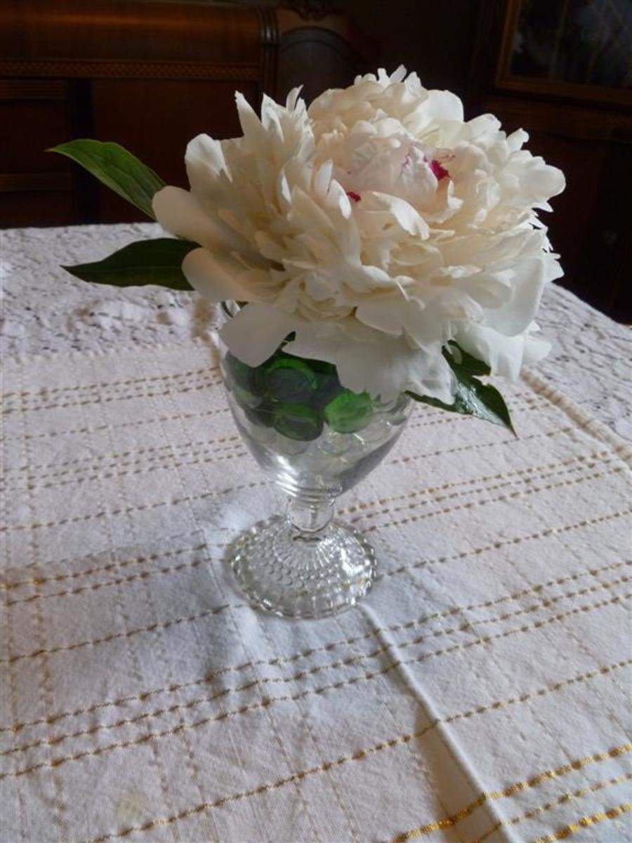 A peony in a beautiful water glass