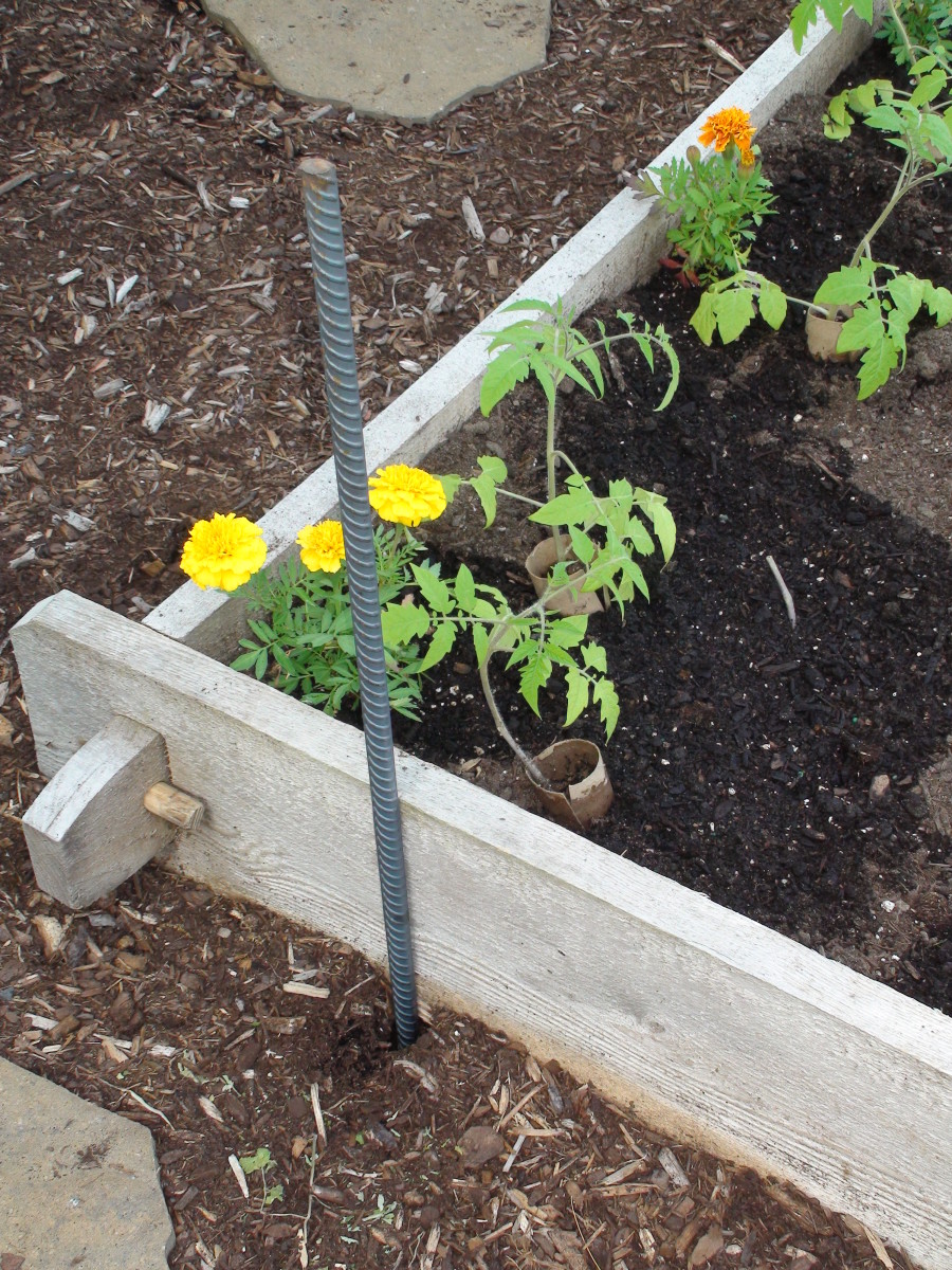 Rebar helps secure the trellis from wind and the weight of fruit and vegetables.