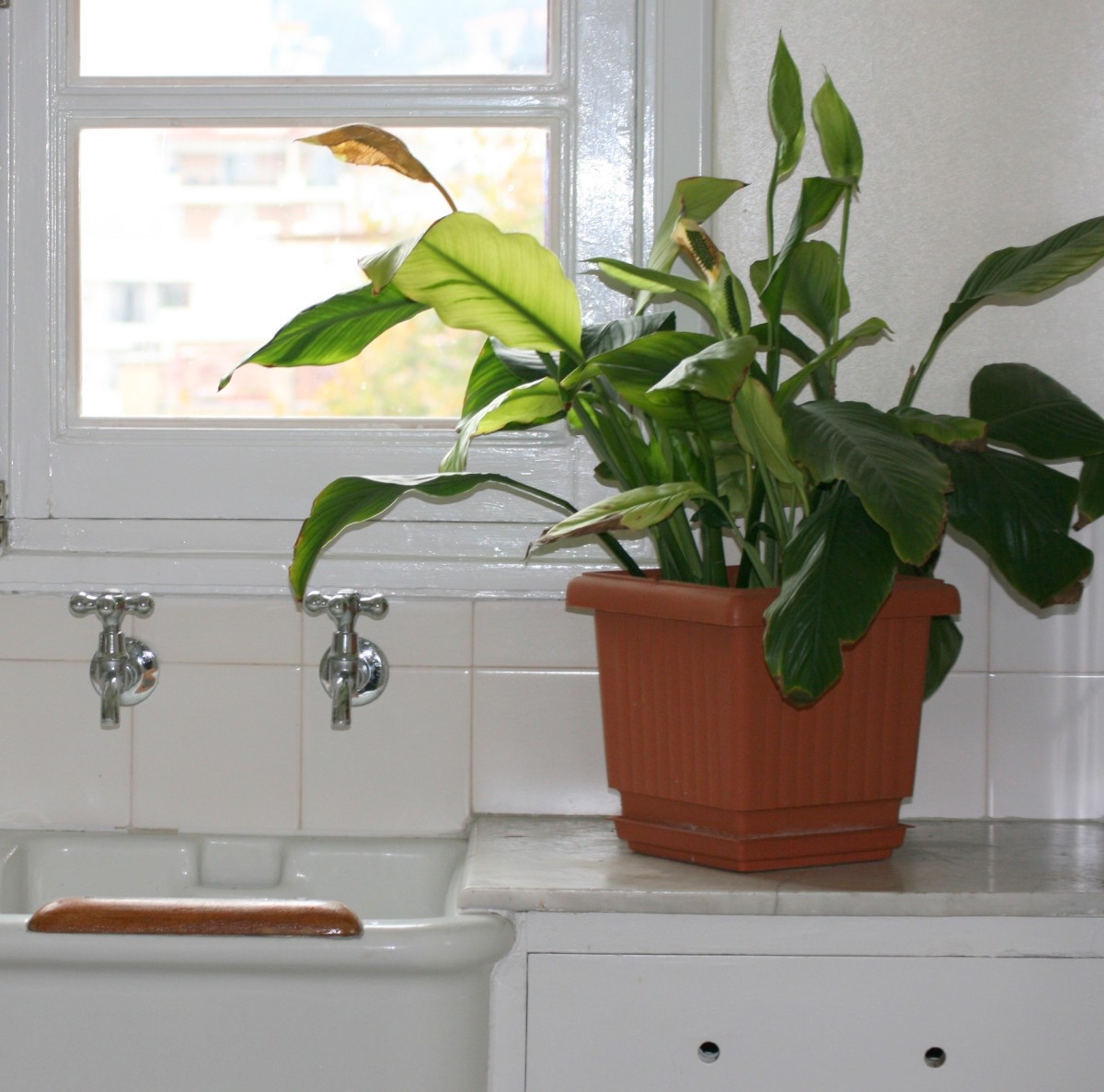 What Causes Damp and Condensation in Houses? Dengarden