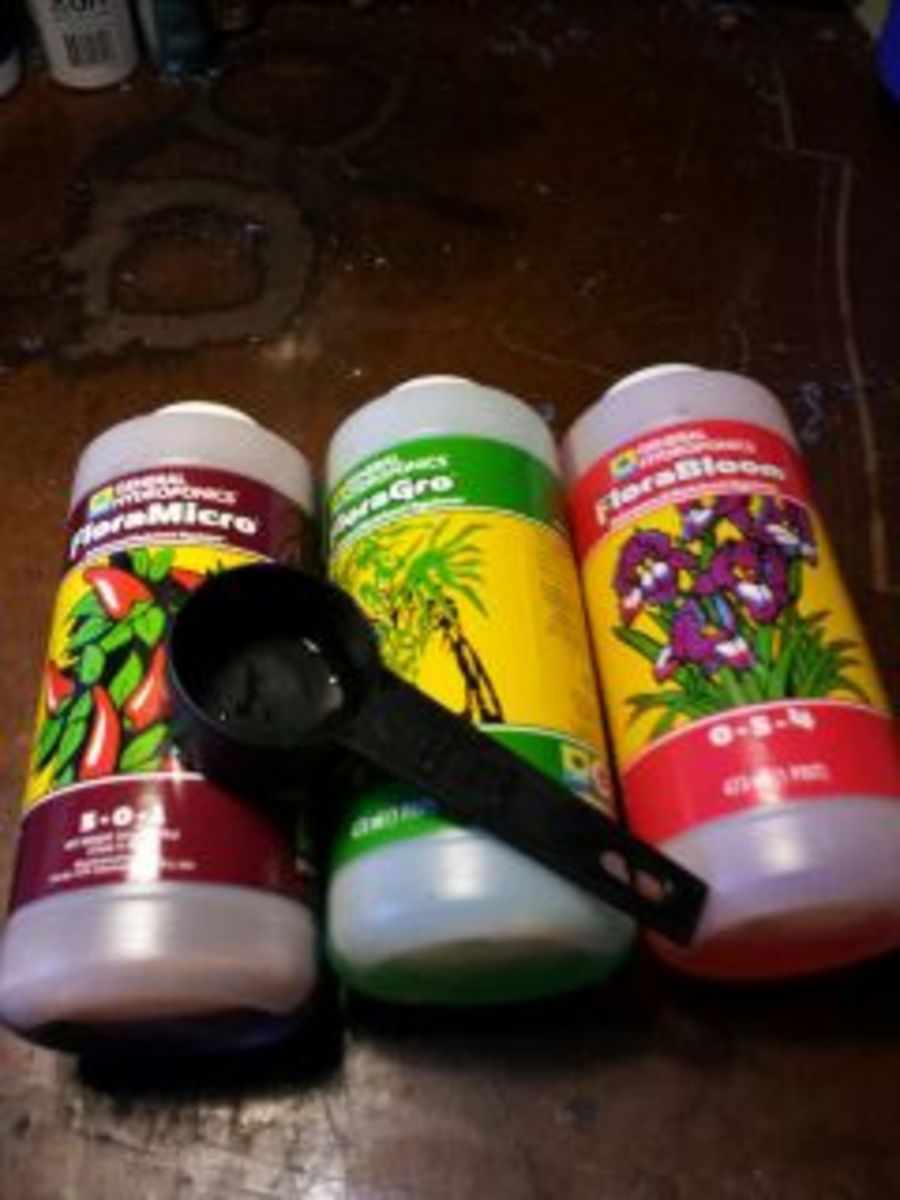 Hydroponic Tubs A BuildItYourself Guide Dengarden